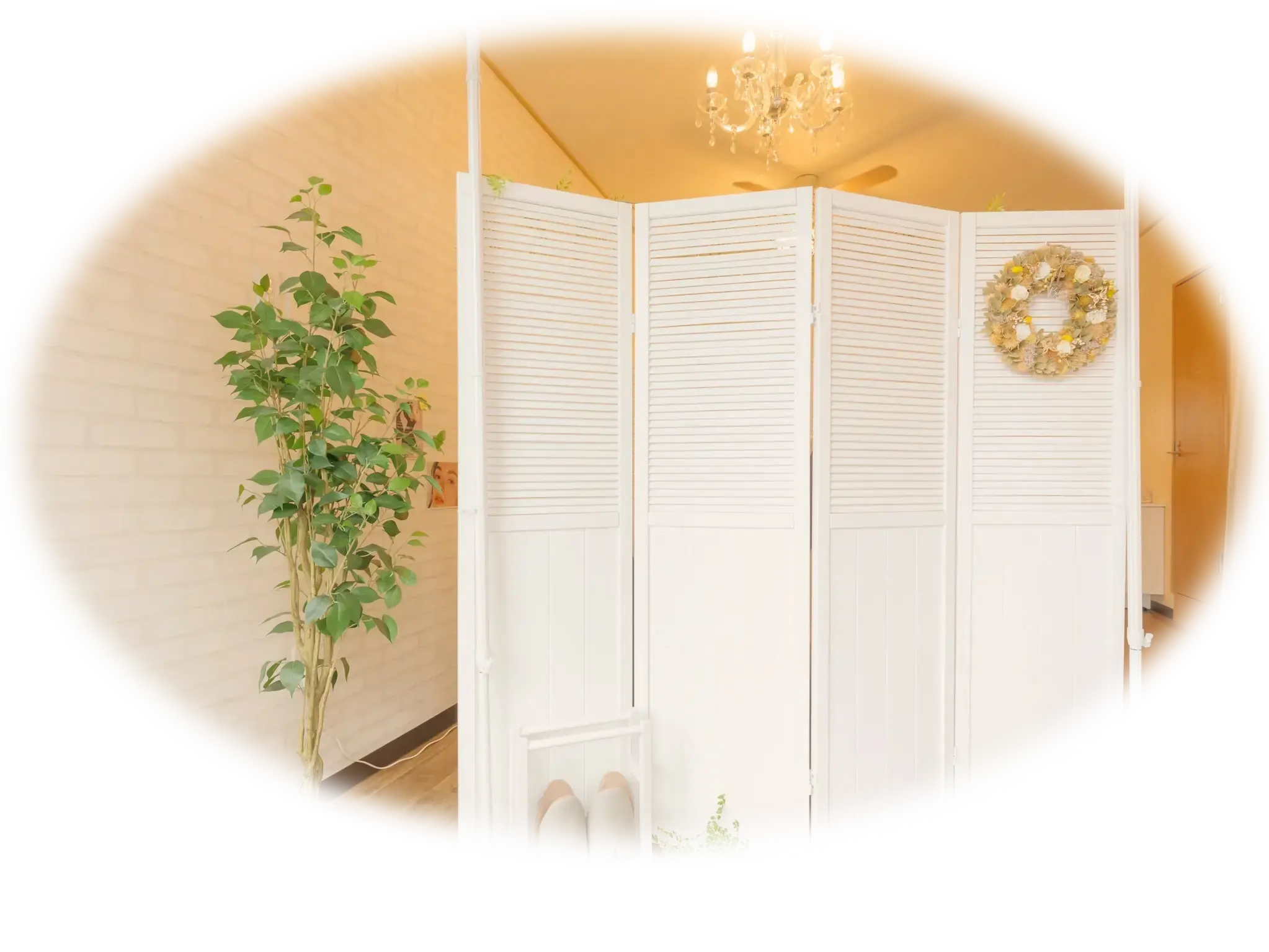 川口駅マツエク・まつ毛・フェイシャル・アイブロウ専門店Tree